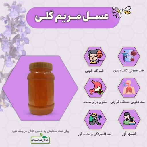 عسل طبیعی مریم گلی (یک کیلویی خالص)